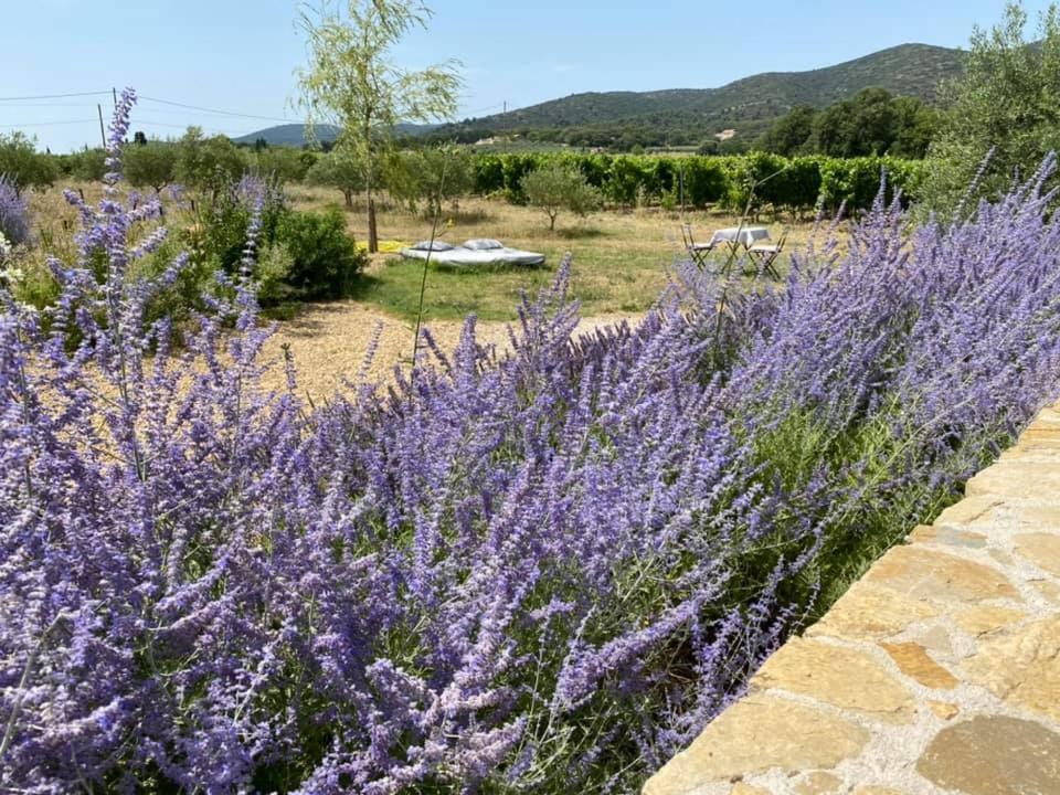 Maison D'Hotes Bastide St Victor A 2,5 Kilometres De Lourmarin Puyvert Ngoại thất bức ảnh