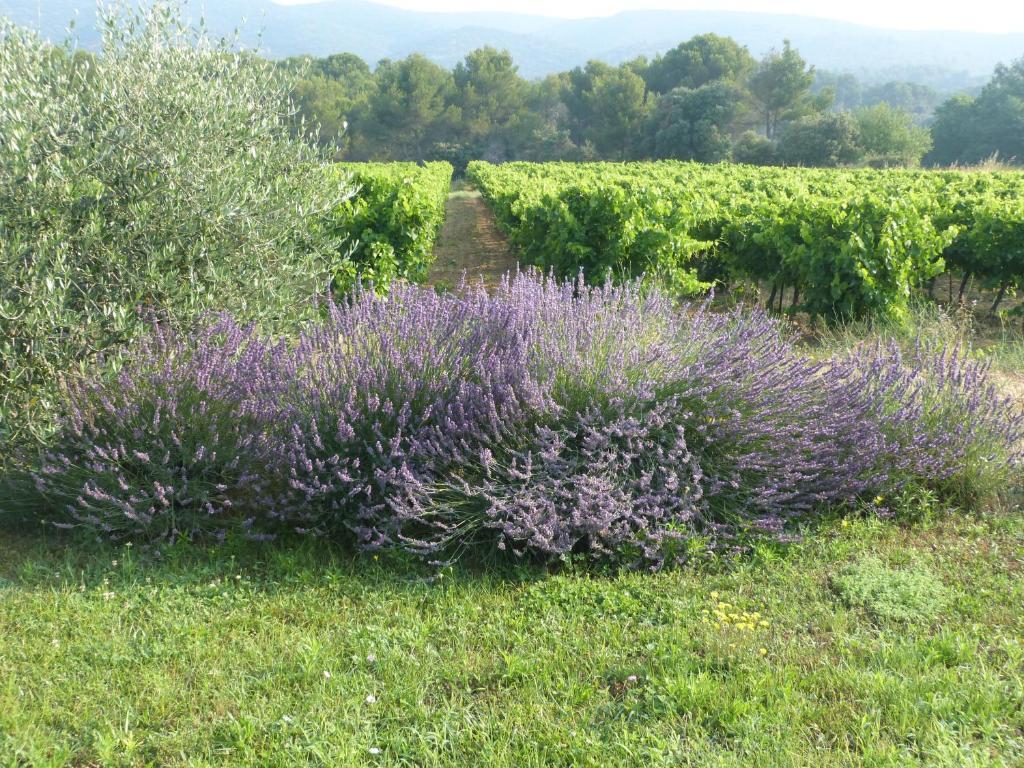 Maison D'Hotes Bastide St Victor A 2,5 Kilometres De Lourmarin Puyvert Ngoại thất bức ảnh